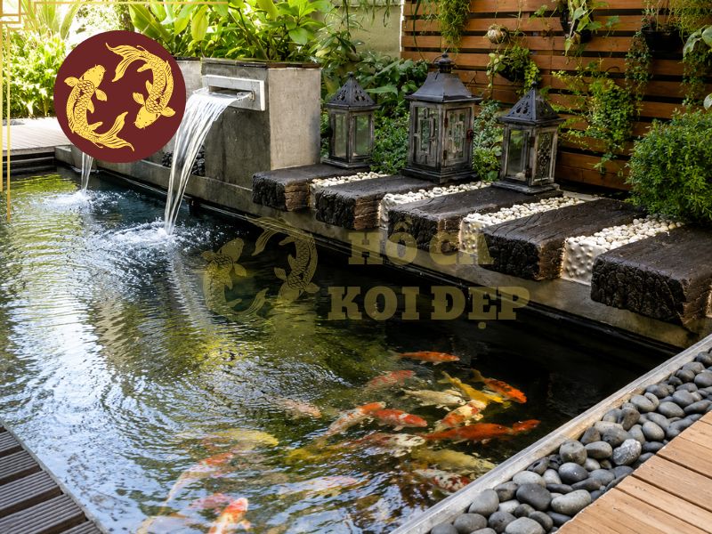 Cách Khử Clo Nước Máy Nuôi Cá Koi: Phương Pháp An Toàn, Hiệu Quả 3 Sục khí giúp tăng sự trao đổi khí trong bồn chứa nước và có thể kết hợp với phương pháp để nước trước khi sử dụng