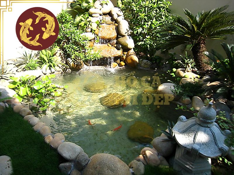 Cách Khử Clo Nước Máy Nuôi Cá Koi: Phương Pháp An Toàn, Hiệu Quả 5 Tham khảo quy trình khử clo nhanh, chuẩn và chính xác nhất