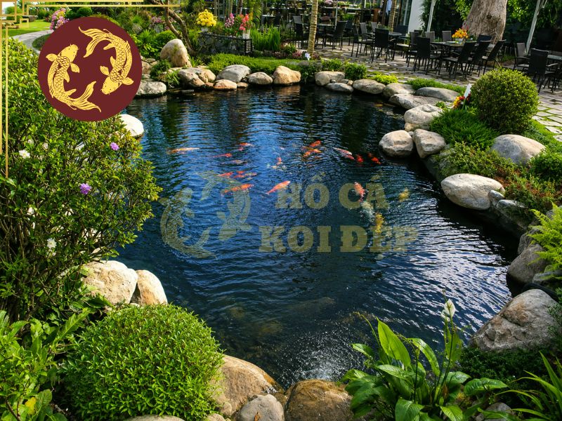 Kích thước hồ cá koi lý tưởng cho sân vườn, biệt thự và nhà phố 4 Hồ koi thường được khuyến nghị với độ sâu từ 80cm đến 1.2m