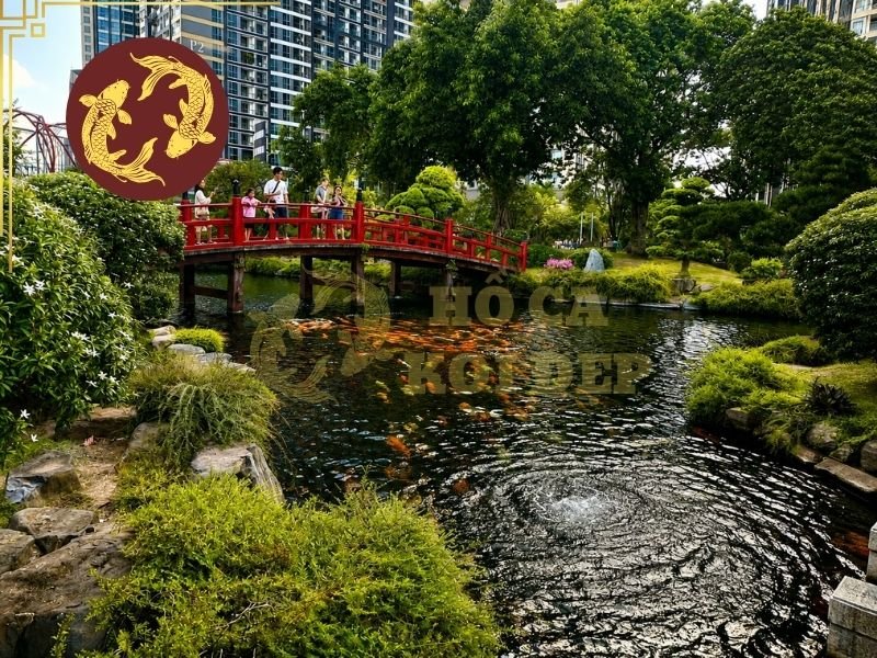 Lọc Hồ Koi Không Cần Thay Nước Có Thực Sự Hiệu Quả? 1 Lọc hồ koi không cần thay nước mô tả những hệ thống có khả năng xử lý và tuần hoàn nước liên tục