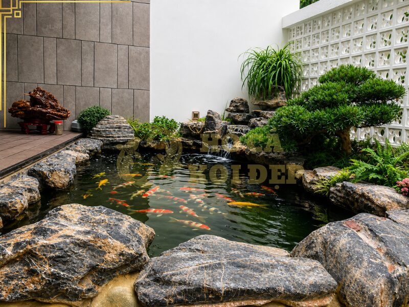 Lọc Hồ Koi Không Cần Thay Nước Có Thực Sự Hiệu Quả? 6 Lưu ý những yếu tố quyết định khả năng giảm tần suất thay nước