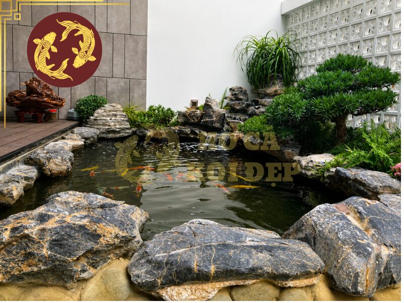 Lọc Hồ Koi Không Cần Thay Nước Có Thực Sự Hiệu Quả? 5 Các phương pháp phổ biến gồm ngăn lắng, chổi lọc, mút lọc, bông lọc hoặc thiết bị lọc trống.