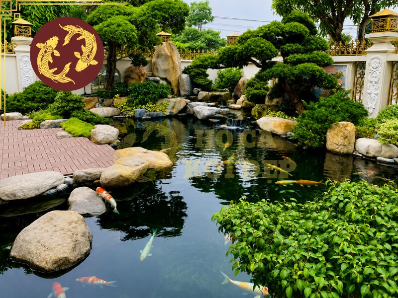 Lọc Hồ Koi Không Cần Thay Nước Có Thực Sự Hiệu Quả? 4 Hệ thống lọc chủ yếu kiểm soát, giữ lại và chuyển hóa các chất gây ô nhiễm, nhưng vẫn có những chất cần được đưa ra khỏi hệ thống thông qua xả cặn hoặc thay một phần nước.