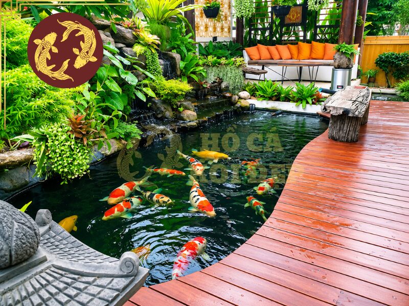 Lọc Hồ Koi Không Cần Thay Nước Có Thực Sự Hiệu Quả? 2 Hệ lọc tuần hoàn là nền tảng quan trọng để xây dựng mô hình lọc hồ koi không cần thay nước thường xuyên. Nước trong hồ liên tục được máy bơm đưa qua hệ thống lọc rồi quay trở lại hồ.