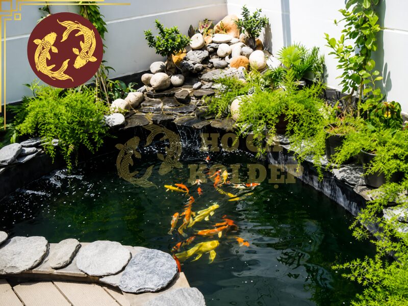 Lọc Hồ Koi Không Cần Thay Nước Có Thực Sự Hiệu Quả? 1 Lọc hồ koi không cần thay nước thường được dùng để mô tả những hệ thống có khả năng xử lý và tuần hoàn nước liên tục, hạn chế tối đa lượng nước phải xả bỏ trong quá trình chăm sóc hồ.