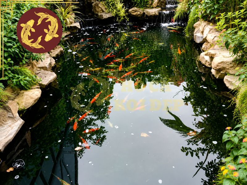 Máy Bơm Tiết Kiệm Điện Cho Hồ Koi: Giải Pháp Giảm Chi Phí Vận Hành 5 Chọn đúng máy bơm tiết kiệm điện cho hồ Koi với khả năng duy trì lưu lượng tốt ở cột áp thực tế sẽ giúp hệ thống hoạt động hiệu quả