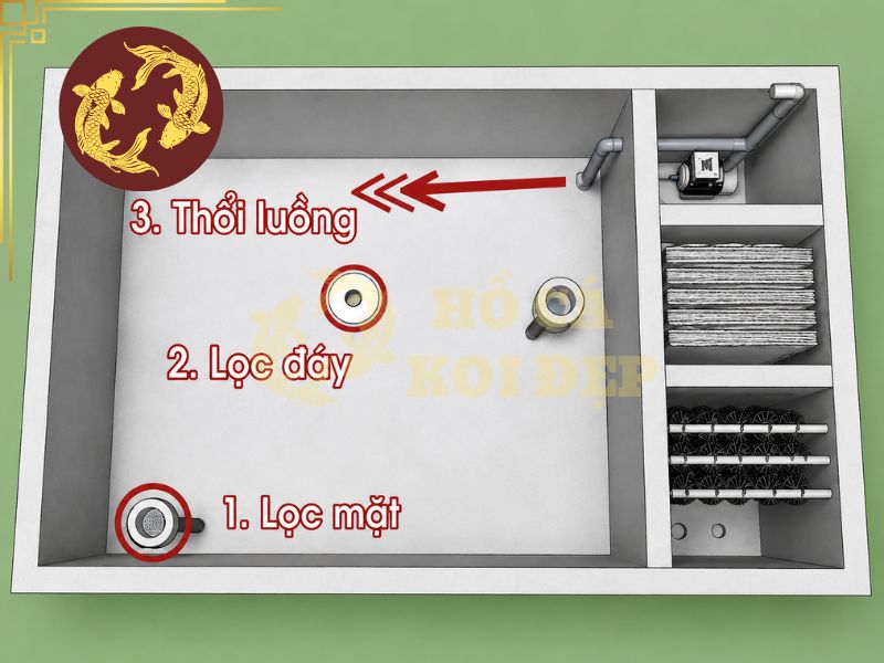 Cách Thiết Kế Sơ Đồ Hệ Thống Lọc Hồ Koi Chuẩn, Tối Ưu 4 Hệ thống lọc thùng nhựa rời là lựa chọn phổ biến cho những hồ koi có diện tích vừa và nhỏ