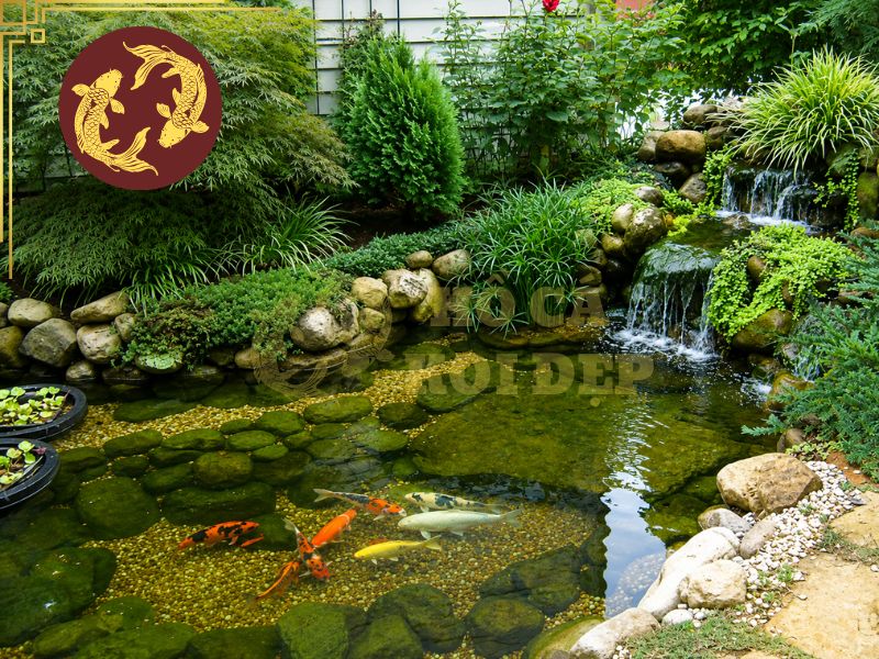Cách Thiết Kế Sơ Đồ Hệ Thống Lọc Hồ Koi Chuẩn, Tối Ưu 7 Để sơ đồ hệ thống lọc hồ koi chuẩn hoạt động hiệu quả, cần tính toán hệ thống ngay từ giai đoạn thiết kế và thi công hồ