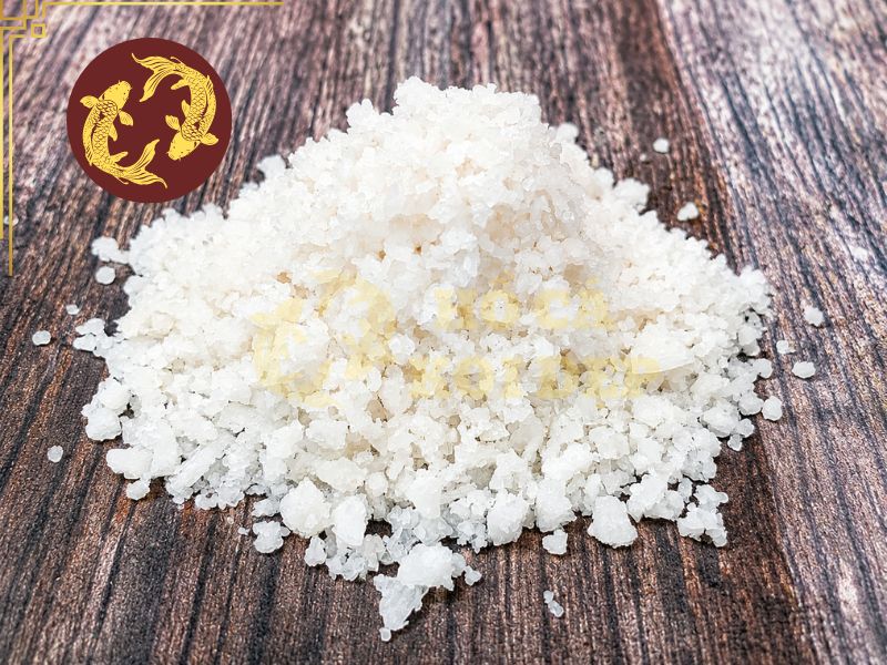 Cách tắm muối cho cá koi tại nhà: Quy trình chuẩn giúp cá khỏe mạnh 2 Cơ thể cá sẽ giảm tình trạng mất nước qua da và mang, từ đó tiết kiệm năng lượng để phục hồi sau khi bị bệnh hoặc tổn thương.