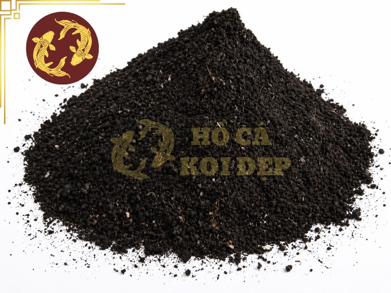 Tắm thuốc tím cho cá koi: Những sai lầm cần tránh khi điều trị bệnh 2 Trong suốt thời gian ngâm, cần sục khí mạnh vì thuốc tím làm giảm lượng oxy hòa tan trong nước