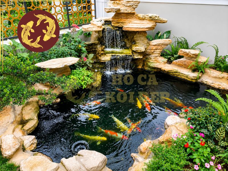 Thi công hồ cá koi: Lưu ý quan trọng để hồ đẹp và bền lâu 2 Một công trình được thi công hồ cá koi bài bản sẽ giúp dòng chảy trong hồ luôn ổn định, chất thải được xử lý hiệu quả và hệ thống vận hành bền bỉ trong nhiều năm.