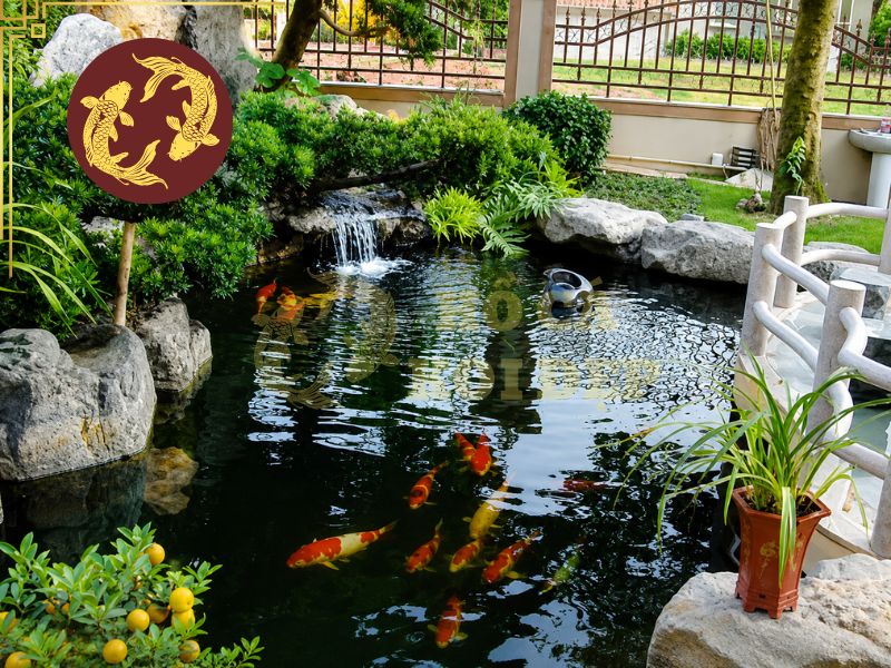 Thi công hồ cá koi: Lưu ý quan trọng để hồ đẹp và bền lâu 1 Cần nắm rõ những nguyên tắc cơ bản trong thi công hồ cá koi để dễ dàng đánh giá chất lượng công trình