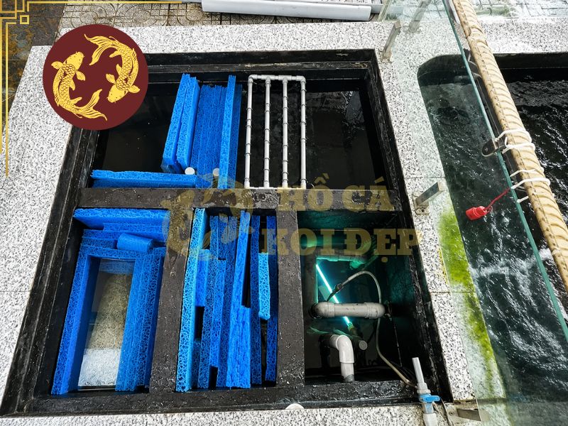 Thi công hồ cá koi: Lưu ý quan trọng để hồ đẹp và bền lâu 3 Hệ thống lọc cần được thiết kế phù hợp với thể tích hồ, mật độ nuôi và lưu lượng tuần hoàn của nước