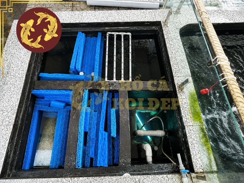 Thiết kế hồ cá koi: Nguyên tắc, tiêu chuẩn và những điều cần biết 7 Yếu tố kỹ thuật phải được chú trọng bên cạnh yếu tố thẩm mỹ