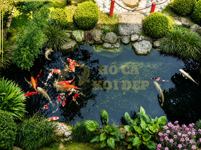 Hướng Dẫn Tính Công Suất Lọc Hồ Koi Đúng Kỹ Thuật 3 Với bể cá cảnh thông thường, có thể tham khảo trong khoảng 3–5 lần thể tích bể mỗi giờ.