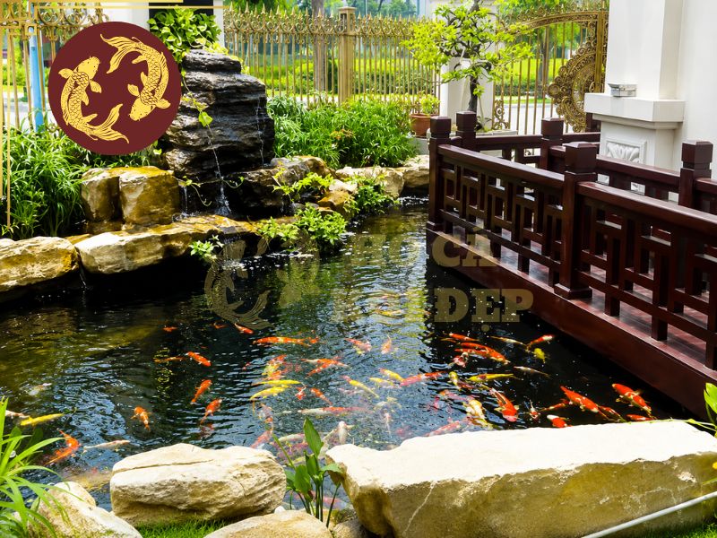 Hướng Dẫn Tính Công Suất Lọc Hồ Koi Đúng Kỹ Thuật 4 Lọc cơ học có nhiệm vụ giữ lại phân cá, thức ăn thừa, lá cây và các loại cặn rắn trong nước
