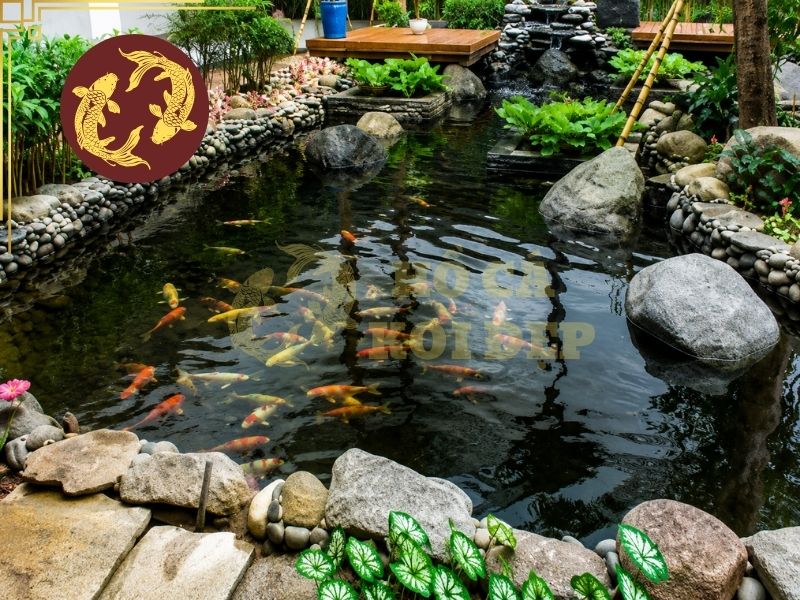 Hướng Dẫn Tính Công Suất Lọc Hồ Koi Đúng Kỹ Thuật 5 Tùy kích thước hồ và số lượng cá, có thể lựa chọn nhiều loại hệ thống lọc khác nhau.