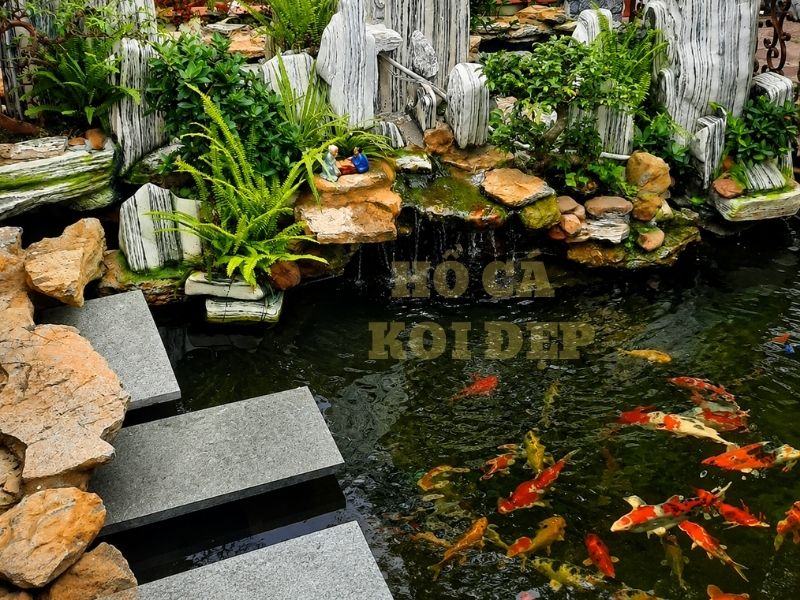 Vệ Sinh Hệ Thống Lọc Hồ Koi Như Thế Nào Để Nước Luôn Trong? 1 Nếu không vệ sinh hệ thống lọc hồ koi, hiệu suất xử lý nước có thể giảm đáng kể.