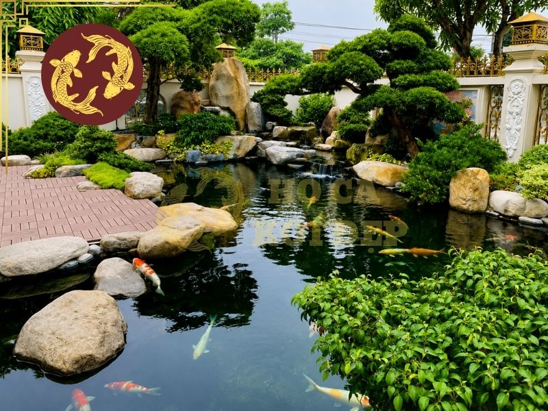 Vệ Sinh Hệ Thống Lọc Hồ Koi Như Thế Nào Để Nước Luôn Trong? 5 Nếu hệ thống có đèn UV, cần tắt hoàn toàn nguồn điện trước khi kiểm tra.