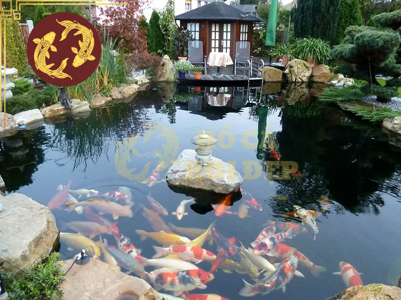 Vi Sinh Cho Hồ Cá Koi Có Tác Dụng Gì? Cách Dùng Hiệu Quả 7 Khi sử dụng vi sinh cho hồ cá Koi, người nuôi cần tuân thủ đúng liều lượng theo hướng dẫn của nhà sản xuất và không tự ý tăng liều với suy nghĩ sử dụng nhiều sẽ cho hiệu quả nhanh hơn