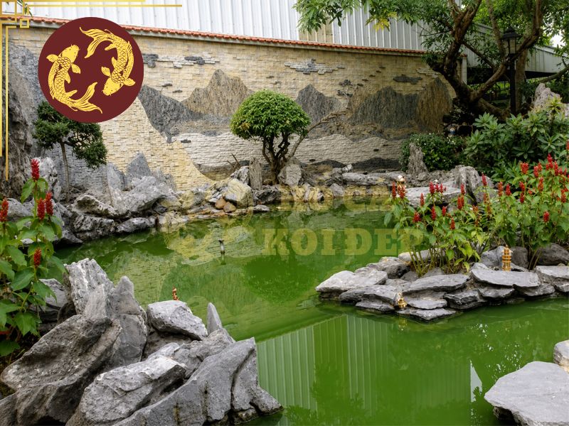 Hướng Dẫn Xử Lý Hồ Xi Măng Mới Trước Khi Nuôi Cá Koi 4 Ngâm hồ đúng cách để giảm độ kiềm