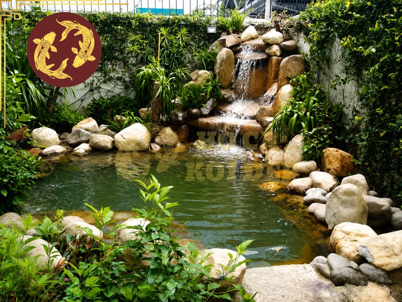 Hướng Dẫn Xử Lý Hồ Xi Măng Mới Trước Khi Nuôi Cá Koi 5 Cách đơn giản để khử kiềm là tiếp tục thay nước kết hợp vận hành hệ thống lọc liên tục