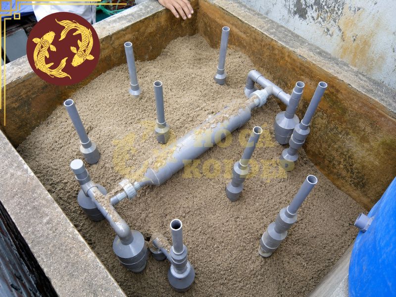 Hướng Dẫn Xử Lý Hồ Xi Măng Mới Trước Khi Nuôi Cá Koi 6 Sau xử lý, hệ thống lọc cần hoạt động liên tục từ 5-7 ngày