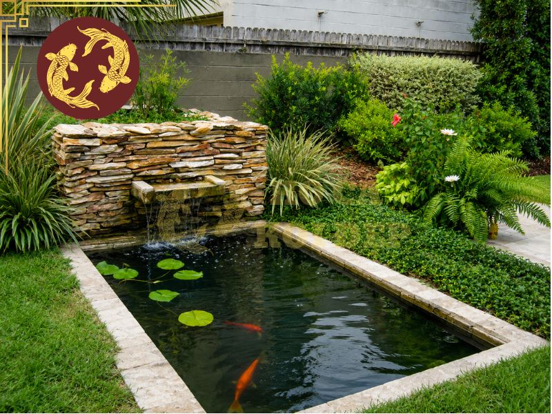 Hướng Dẫn Xử Lý Hồ Xi Măng Mới Trước Khi Nuôi Cá Koi 7 Một hồ đạt yêu cầu thường có nước trong, không còn mùi xi măng, không xuất hiện lớp cặn trắng trên thành hồ và chỉ số pH duy trì ổn định