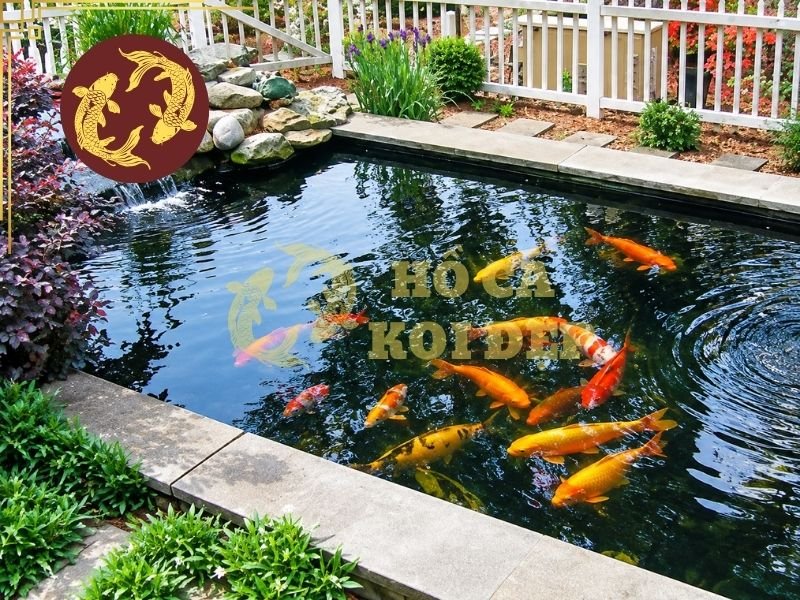 Bán Thiết Bị Hồ Cá Koi TPHCM: Cung Cấp Thiết Bị Cho Hồ Koi Gia Đình 4 Khi tham khảo dịch vụ bán thiết bị hồ cá koi TPHCM, người mua nên lập danh sách thiết bị cần thiết trước khi so sánh giá giữa các nhà cung cấp.