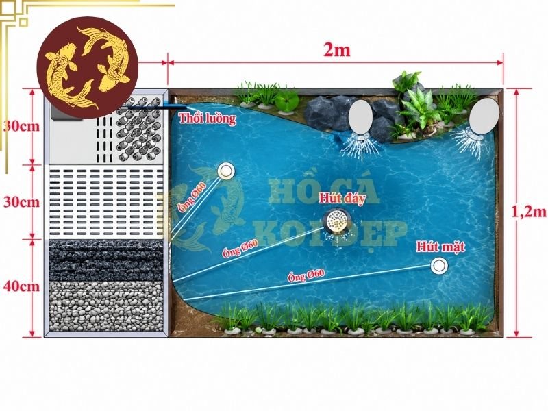 Bản Vẽ Hồ Cá Koi Đẹp: Nguyên Tắc Thiết Kế Và Những Lưu Ý Quan Trọng 2 Mặt cắt thể hiện chiều sâu, cao độ đáy hồ, thành hồ và các lớp cấu tạo.