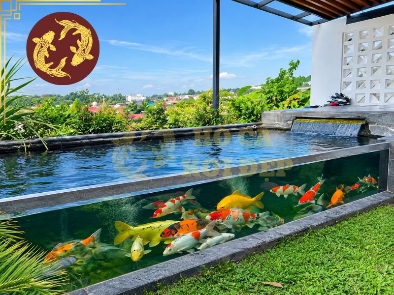 Bảo Trì Hồ Cá Koi Định Kỳ: Lịch Kiểm Tra Và Các Công Việc Cần Làm 4 Các hạng mục thường bao gồm quan sát mặt nước, thành và đáy hồ, loại bỏ rác hữu cơ, kiểm tra lượng cặn, vệ sinh