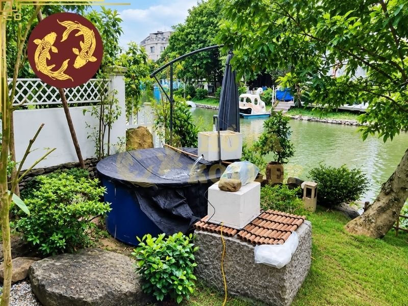 Cách Làm Bể Cách Ly Cá Koi Khi Cá Bị Bệnh 4 Quy trình setup bể cá koi theo từng bước