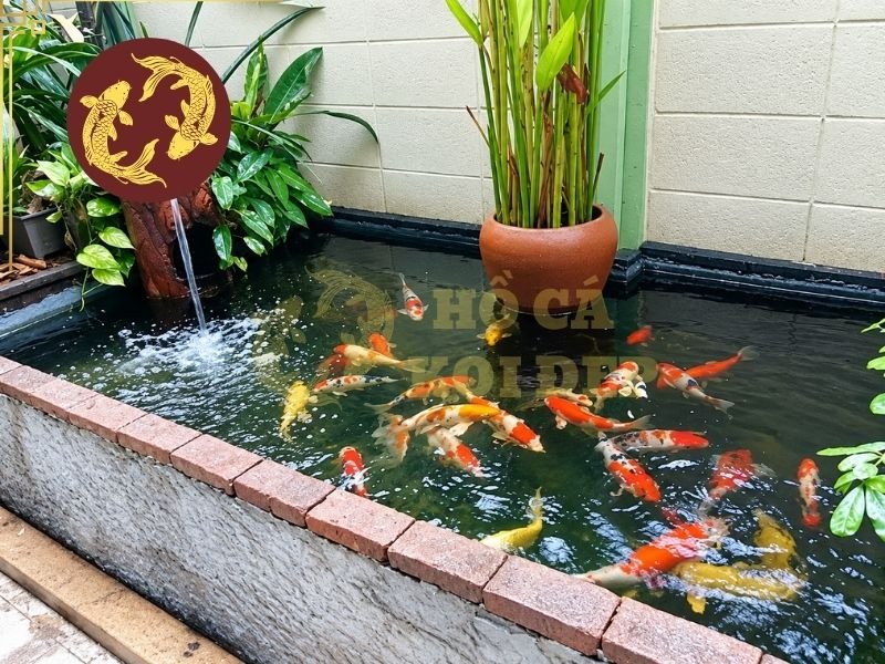 Cải Tạo Hồ Cá Koi Cũ: Những Dấu Hiệu Cho Thấy Hồ Cần Nâng Cấp 3 Sau thời gian dài vận hành, các mối nối có thể bị hở hoặc đường ống xuất hiện vấn đề.