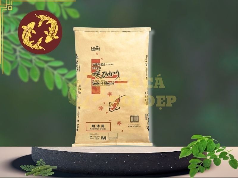 Cám Saki Hikari Cho Koi: Lựa Chọn Dinh Dưỡng Cho Cá Khỏe, Lên Màu Đẹp 1 Với công thức giàu protein, cám Saki Hikari Growth phù hợp để đưa vào chế độ ăn của những đàn Koi đang tập trung phát triển kích thước.