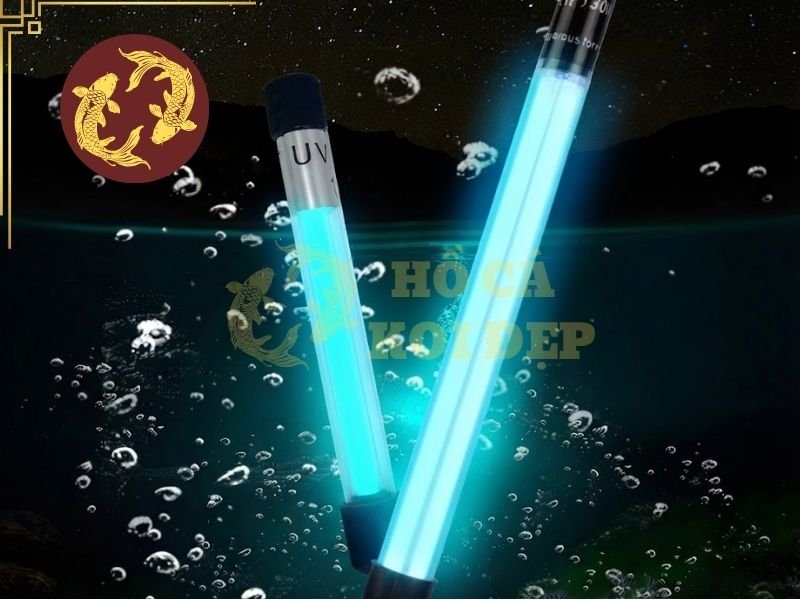 Đèn UV Cho Hồ Koi Có Tác Dụng Gì? Cách Chọn Công Suất Phù Hợp 3 Khi chọn công suất UV, nên đối chiếu đồng thời ba thông số chính: thể tích hồ, lưu lượng nước và công suất đèn.