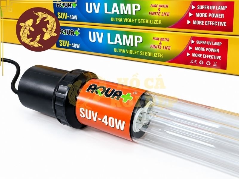 Đèn UV Cho Hồ Koi Có Tác Dụng Gì? Cách Chọn Công Suất Phù Hợp 4 Thông thường, UV nên được bố trí trên đường nước đã qua bước lọc cơ học để hạn chế cặn bẩn bám vào hoặc che chắn nguồn sáng.