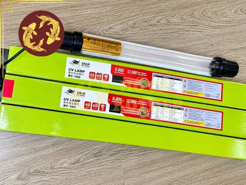 Đèn UV Cho Hồ Koi Có Tác Dụng Gì? Cách Chọn Công Suất Phù Hợp 5 Một số lưu ý khi sử dụng đèn UV
