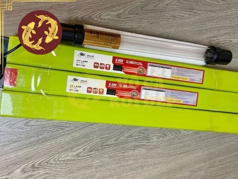 Đèn UV Có Hại Cho Cá Koi Không? Cách Sử Dụng An Toàn 4 Hiểu cách sử dụng đúng để đèn phát huy công dụng tối đa
