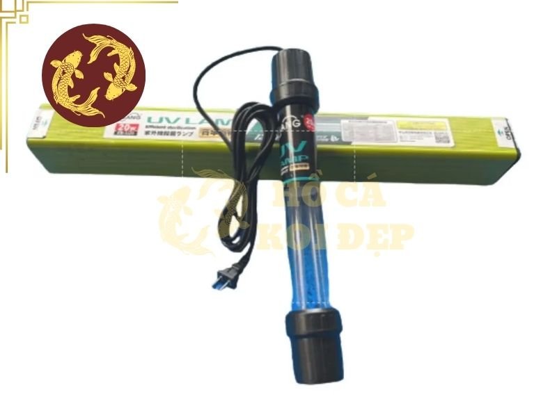 Đèn UV Có Hại Cho Cá Koi Không? Cách Sử Dụng An Toàn 2 Một hệ thống hồ koi được thiết kế hợp lý vẫn có thể sử dụng UV cùng với lọc sinh học để kiểm soát tảo mà không làm mất hoàn toàn hệ vi sinh cần thiết.