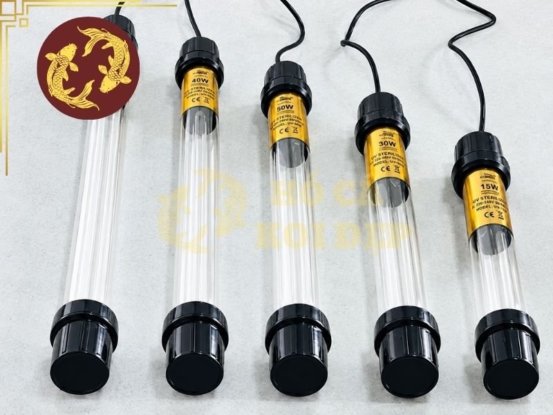 Đèn UV Có Hại Cho Cá Koi Không? Cách Sử Dụng An Toàn 3 Một số tác hại khi dùng đèn UV cần lưu