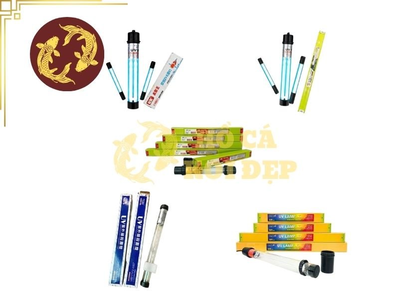 Đèn UV Có Hại Cho Cá Koi Không? Cách Sử Dụng An Toàn 5 Một số lưu ý khác cần quan tâm