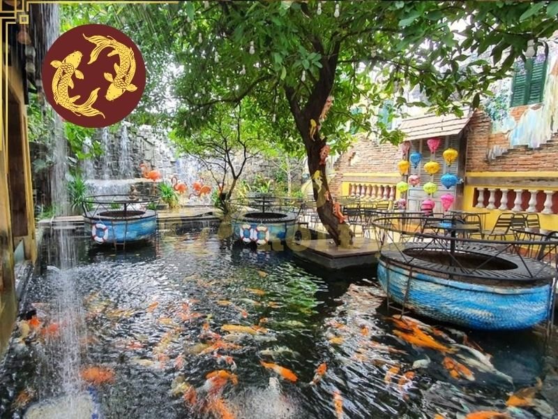 Hướng Dẫn Kiểm Tra Và Điều Chỉnh gH Nước Hồ Koi Đúng Cách 3 Khi kiểm tra, nên lấy mẫu nước ở vị trí đại diện cho nước trong hồ, tránh lấy trực tiếp từ dòng nước vừa cấp vào.