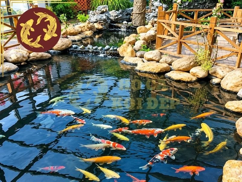 Hướng Dẫn Kiểm Tra Và Điều Chỉnh gH Nước Hồ Koi Đúng Cách 4 Trong thực tế, mức gH khoảng 100–250 mg/L, tương đương khoảng 6–14 dGH, thường được xem là vùng độ cứng tương đối phù hợp cho nhiều hồ cá nước ngọt, trong đó có koi.