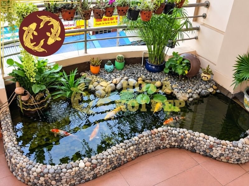 Hướng Dẫn Kiểm Tra Và Điều Chỉnh gH Nước Hồ Koi Đúng Cách 5 Nếu gH quá thấp kéo dài, môi trường nước sẽ thiếu một phần khoáng chất cần thiết cho quá trình cân bằng ion của cá.