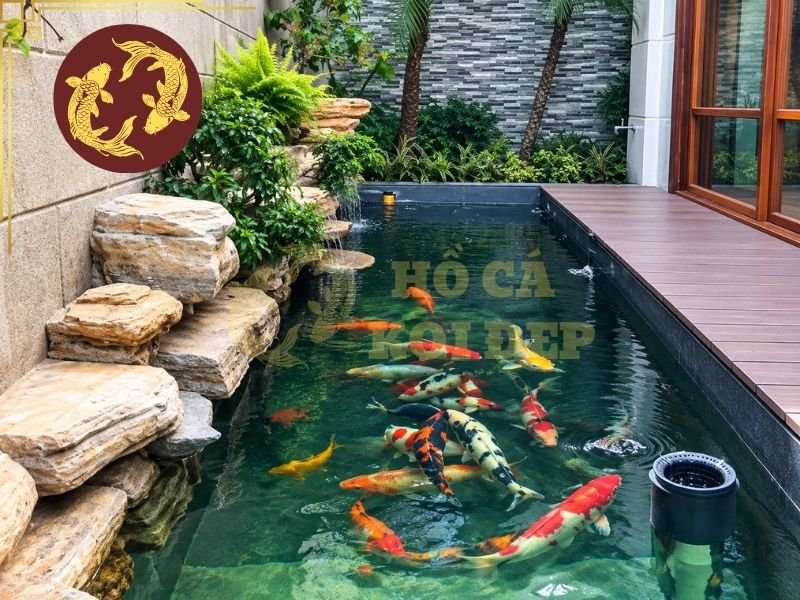 Thiết Kế Hệ Thống Điện Cho Hồ Cá Koi: Các Thiết Bị Và Lưu Ý An Toàn 4 Một trong những nguyên tắc quan trọng khi bố trí hệ thống điện cho hồ cá koi là tách khu vực điện khỏi nguồn nước càng nhiều càng tốt.