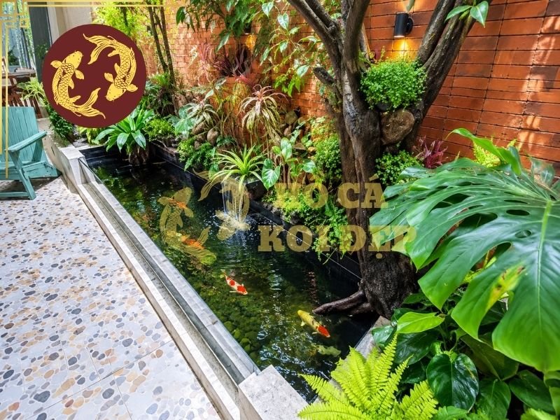 Cách Xử Lý Hồ Cá Koi Bị Rò Rỉ Nước Đơn Giản, Hiệu Quả 5 Đối với hồ có hệ thống lọc phức tạp, việc kiểm tra từng đoạn có thể cần người có chuyên môn để tránh ảnh hưởng đến hoạt động của hồ.