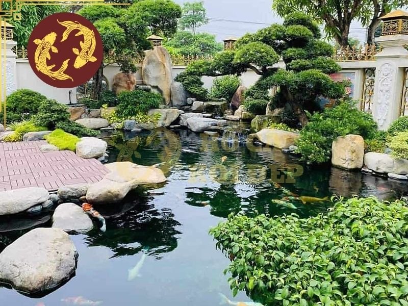 Thiết Kế Hồ Cá Koi Cho Nhà Hàng, Khách Sạn: Những Lưu Ý Quan Trọng 7 Một số lưu ý trong quá trình khi công