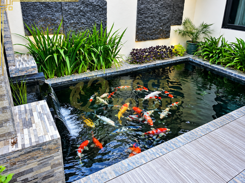 Khám Phá Hồ Cá Koi Hiện Đại Và Những Phong Cách Thiết Kế Nổi Bật 2 Hồ thường sử dụng hình khối rõ ràng, màu sắc trung tính và một vài điểm nhấn như đá hoặc cây xanh.