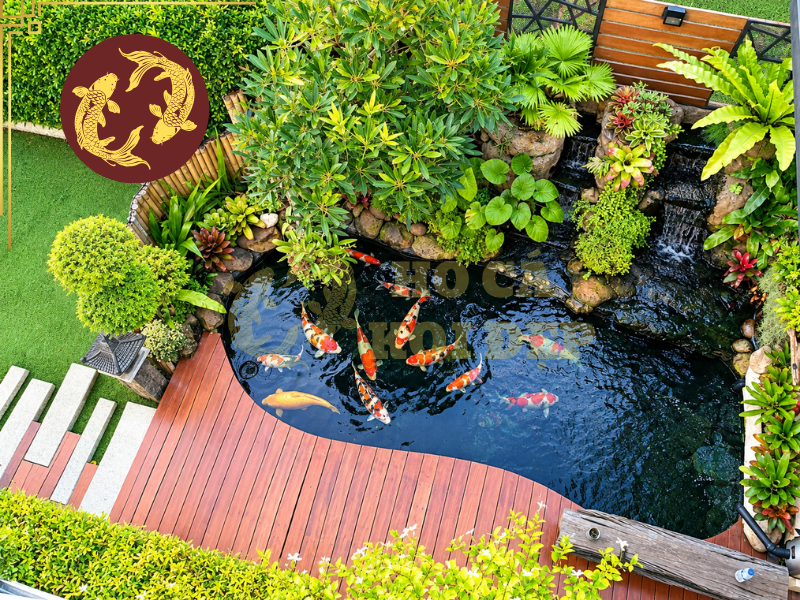 Khám Phá Hồ Cá Koi Hiện Đại Và Những Phong Cách Thiết Kế Nổi Bật 3 Cây cối, đá trang trí, lối đi và khu vực nghỉ ngơi được bố trí có chủ đích để tạo thành một tổng thể thống nhất.