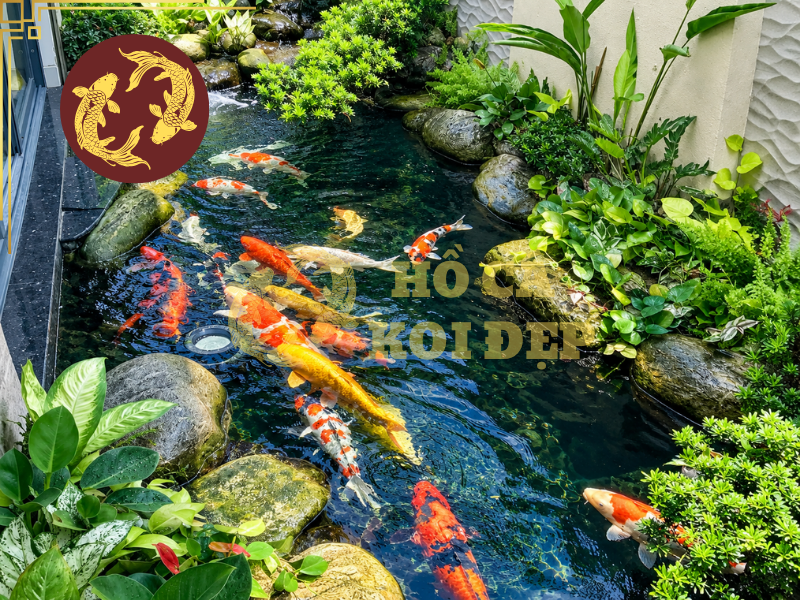 Khám Phá Hồ Cá Koi Hiện Đại Và Những Phong Cách Thiết Kế Nổi Bật 6 Để có một hồ cá koi hiện đại vừa đẹp vừa thuận tiện sử dụng, gia chủ cần xác định kích thước hồ dựa trên diện tích thực tế.